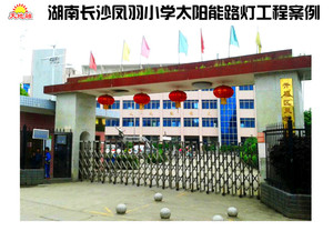 湖南长沙凤羽小学太阳能路灯工程案例